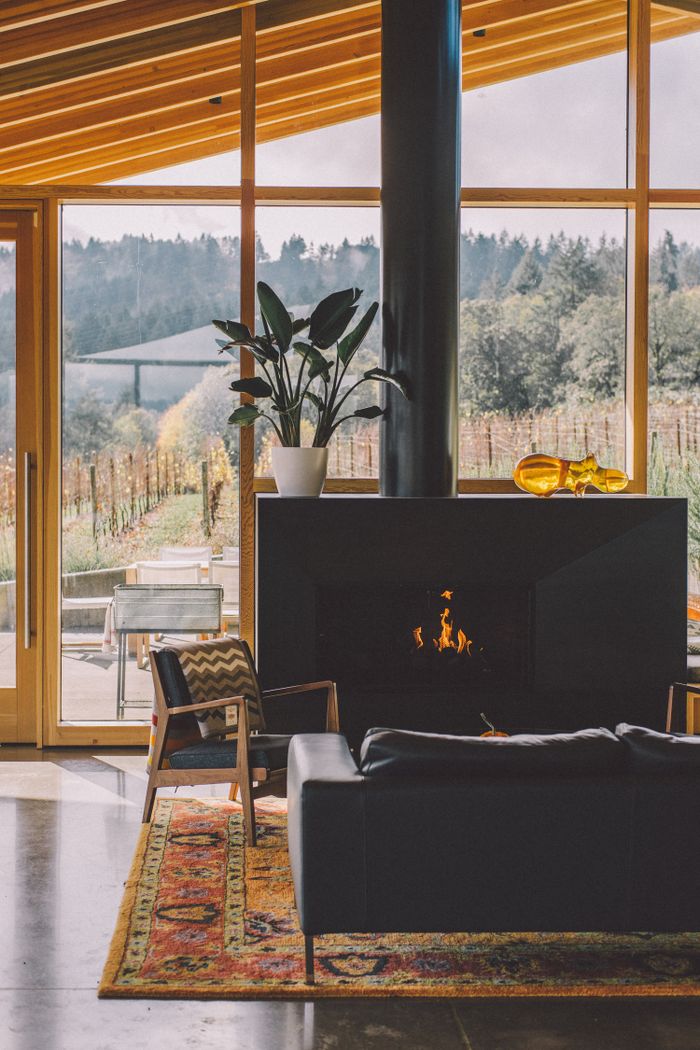 The Art of Drawing Readers In: Your attractive post title goes here Contemporary living room interior with furniture on carpet and potted plant on fireplace in daylight